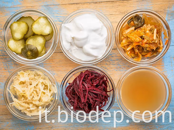 lactobacillus helveticus6